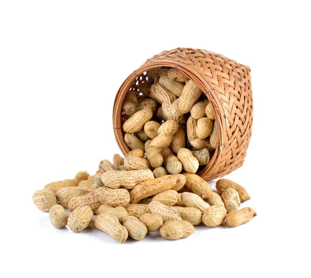 groundnuts (peanut) on white background